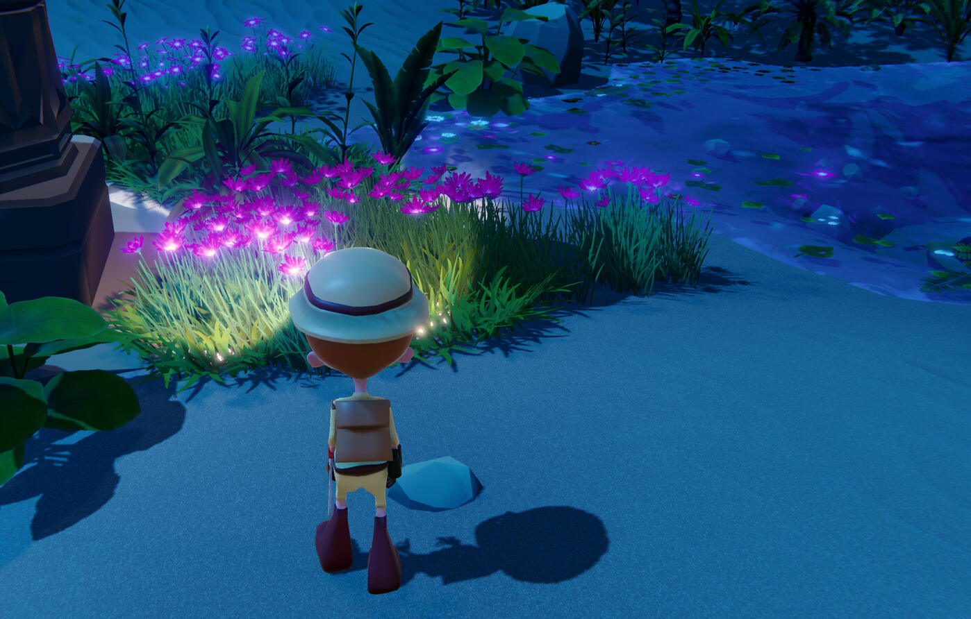 Desert Violets